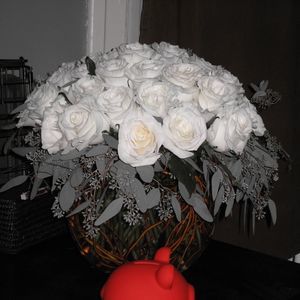 Meet your Posher, Tania